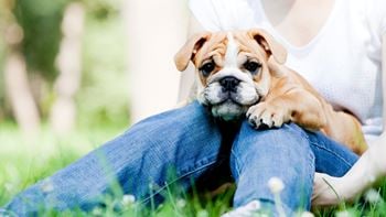 Pet-friendly community
